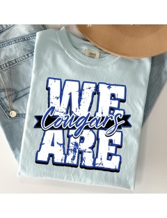 We Are Cougars