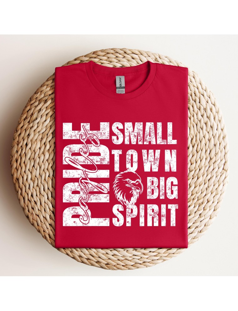 Small Town Big Spirit - Fort Necessity